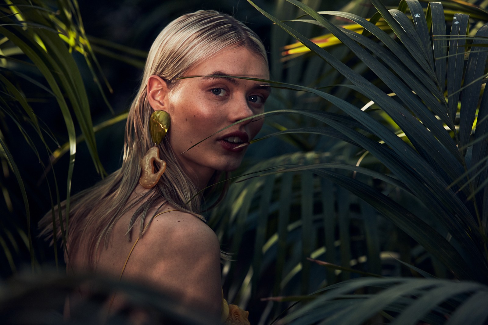 summer by Tim Thiel