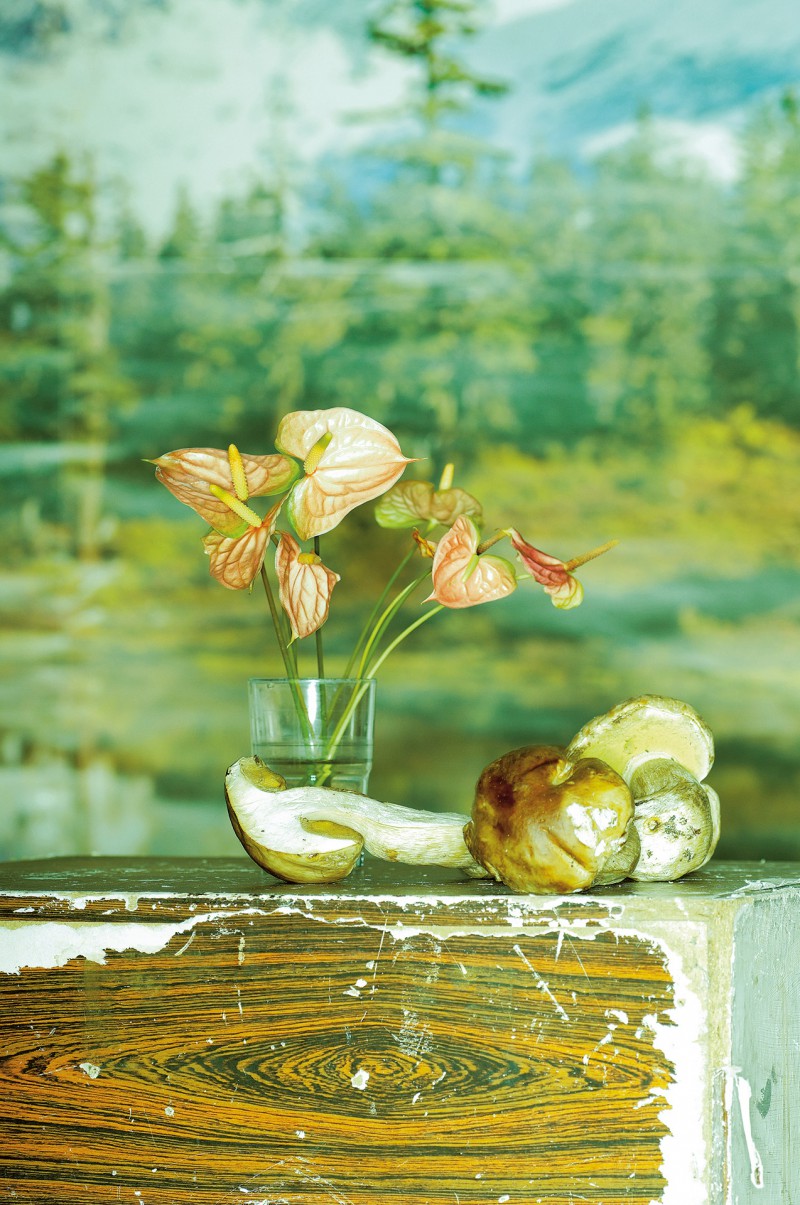 Liebeskochbuch 2 by Tim Thiel