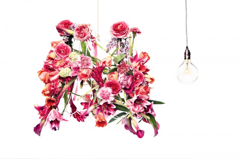 sanguiniker by Tim Thiel